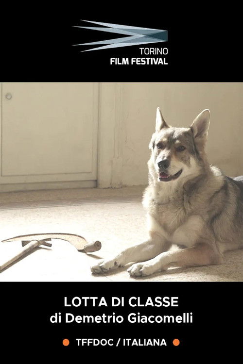 Lotta di Classe - Il cinema dei ragazzi di Emilio Sidoti (2021) poster