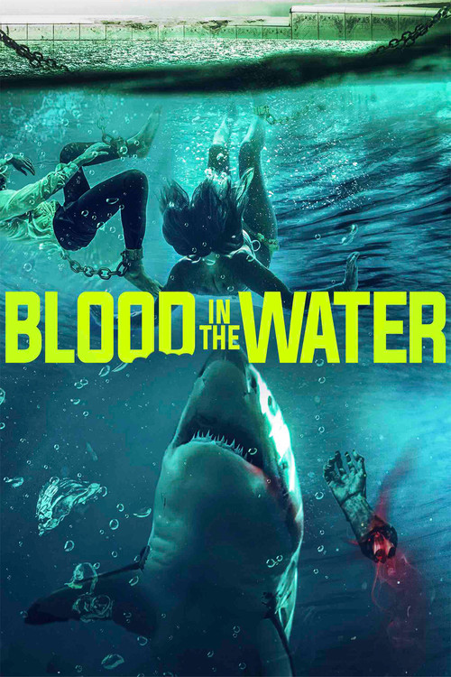 Blood in the Water (2022) poster