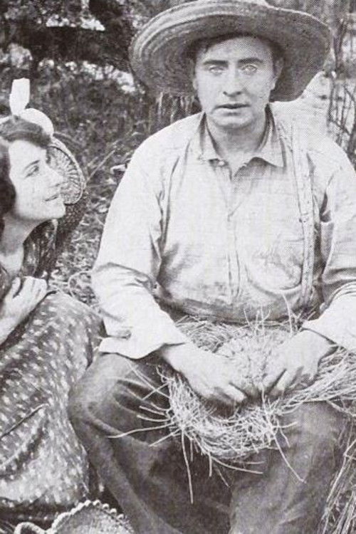 The Blind Basket Weaver (1913) poster