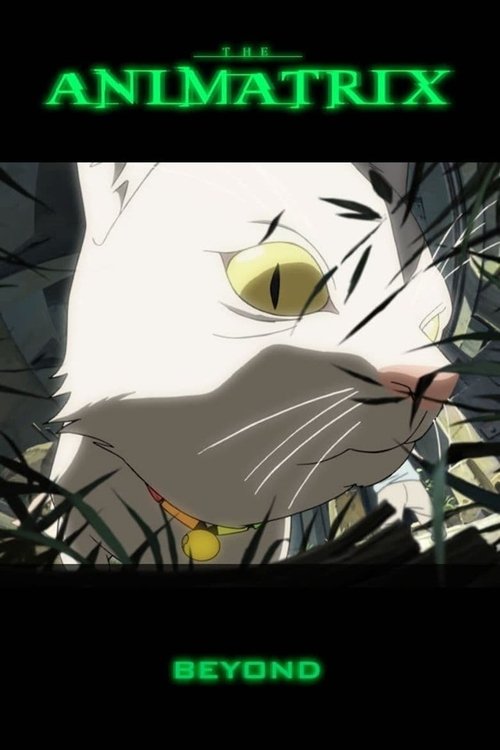 Beyond (2003) poster