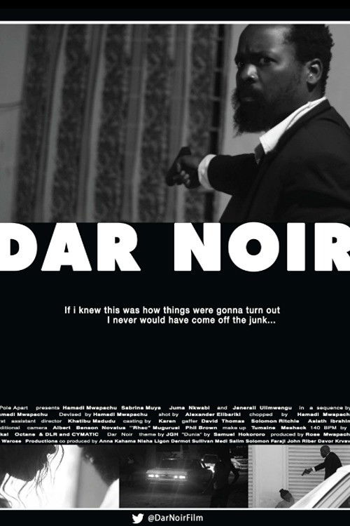 Dar Noir (2015) poster