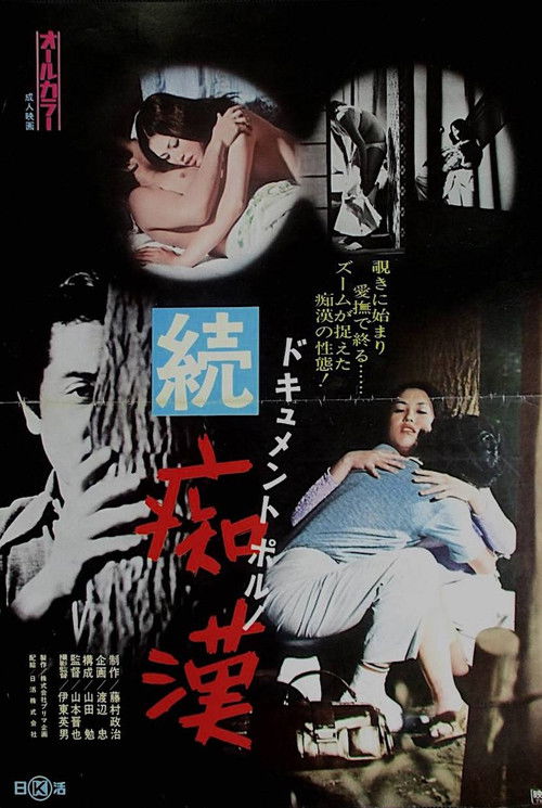 Dokyumento poruno: Zoku chikan (1973) poster