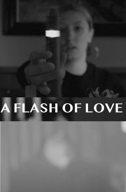 A Flash Of Love (2024) poster