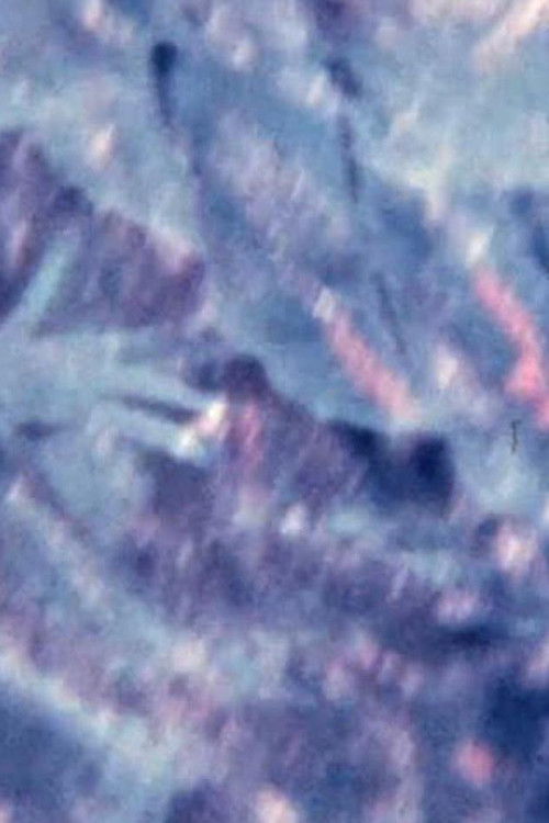 Ecosystem 8 ~ A chain Eclipse (1991) poster