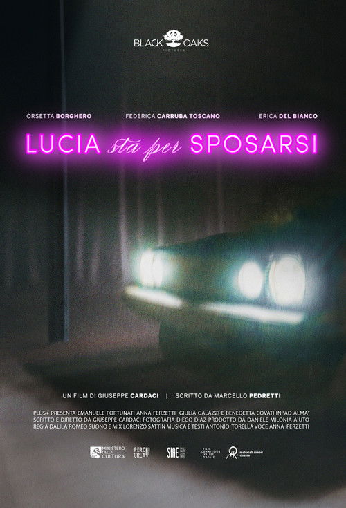 Lucia sta per sposarsi (2025) poster