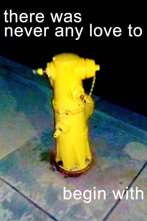 there was never any love to begin with (2021) poster