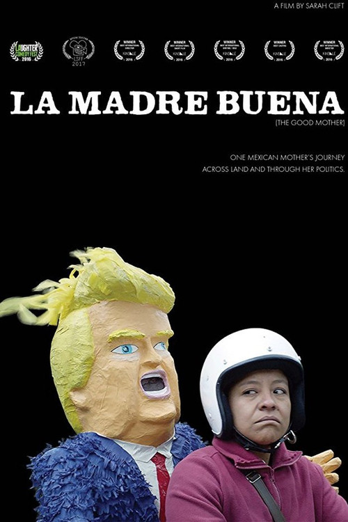 The Good Mother (2017) poster