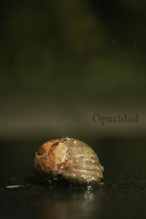 Opacity (2024) poster