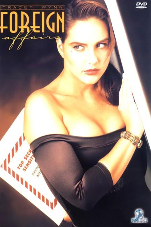 Foreign Affairs (1991) poster