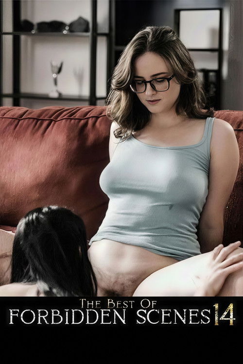 The Best of Forbidden Scenes 14 (2025) poster