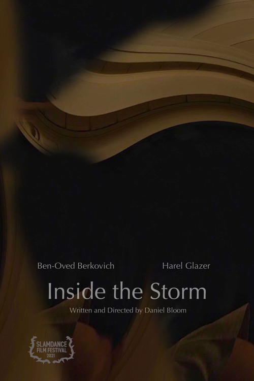 Inside the Storm (2020) poster