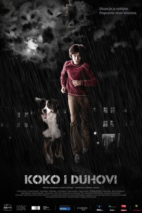 Koko and the Ghosts (2011) poster