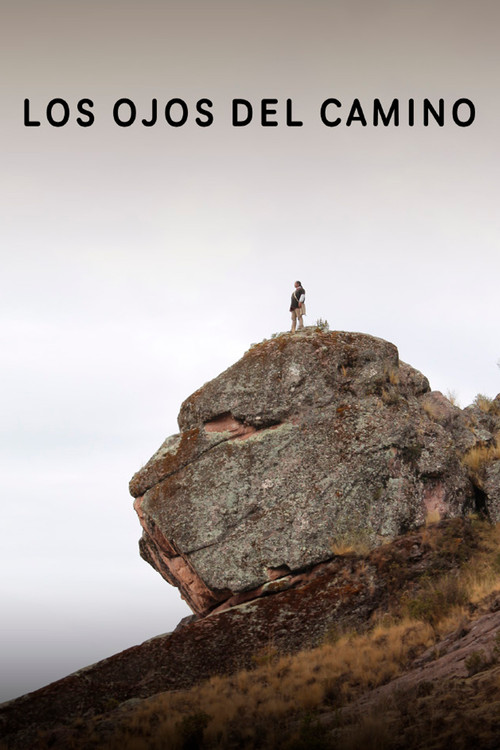 Los Ojos del Camino (2017) poster
