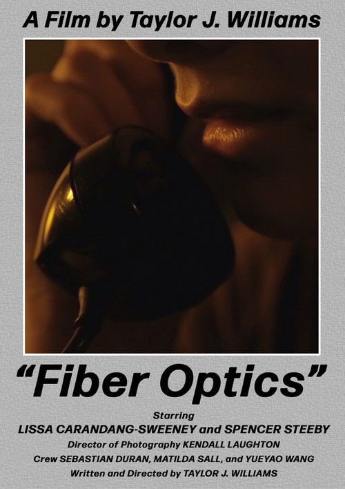 Fiber Optics (2022) poster