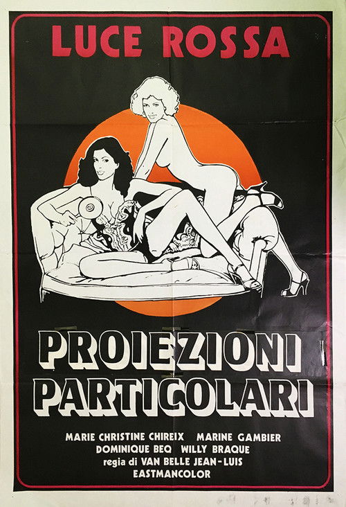 Projections spéciales (1976) poster
