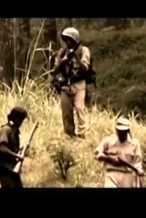 Bedjo van Derlaak (2003) poster