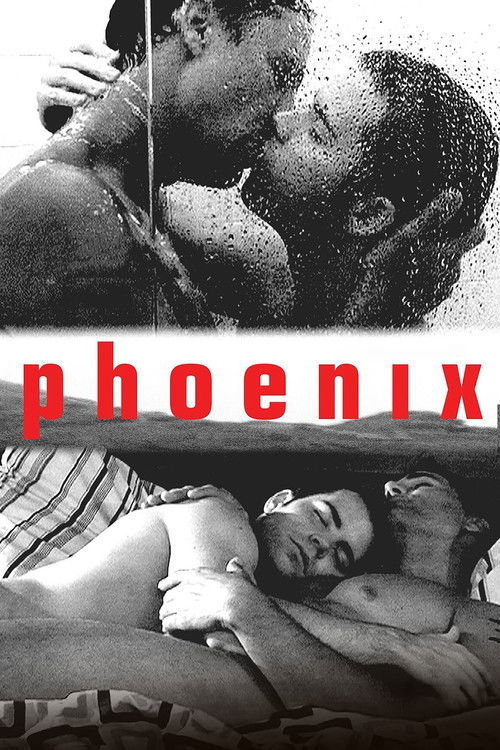 Phoenix (2006) poster