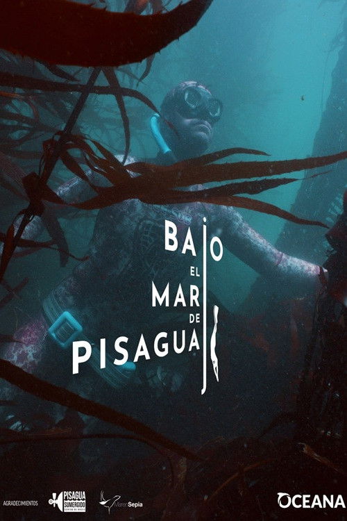 Bajo el mar de Pisagua poster