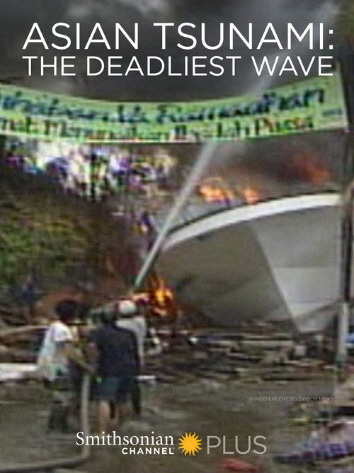 Asian Tsunami: The Deadliest Wave (2014) poster