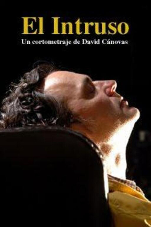 El intruso (2005) poster