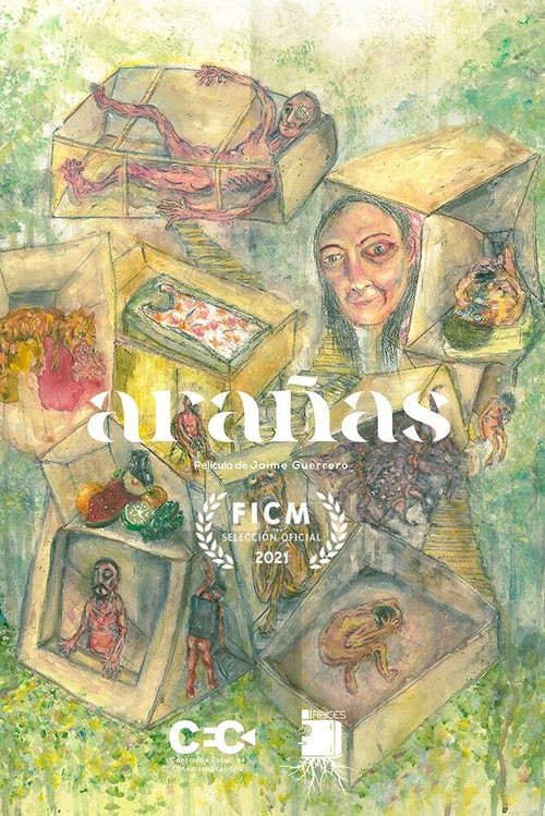 Arañas (2021) poster