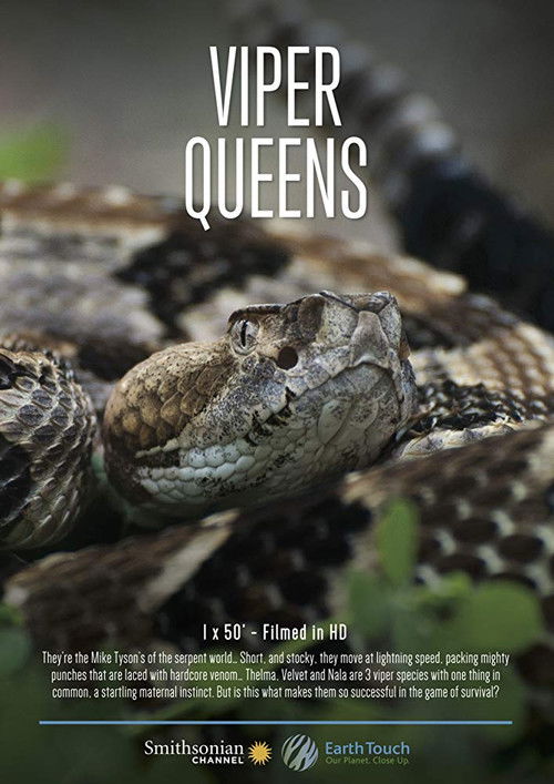 Viper Queens (2016) poster