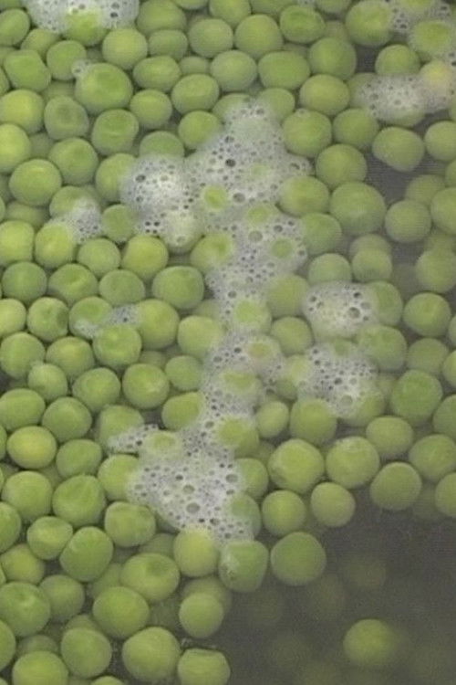 Peas (2002) poster