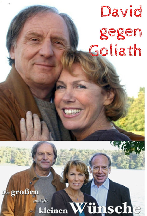 Die großen und die kleinen Wünsche - David gegen Goliath (2007) poster