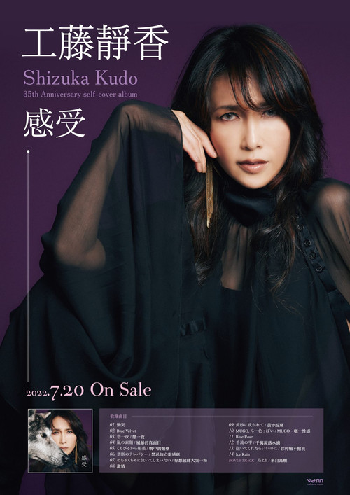 Shizuka Kudo 35th Anniversary Tour 2022 (2022) poster