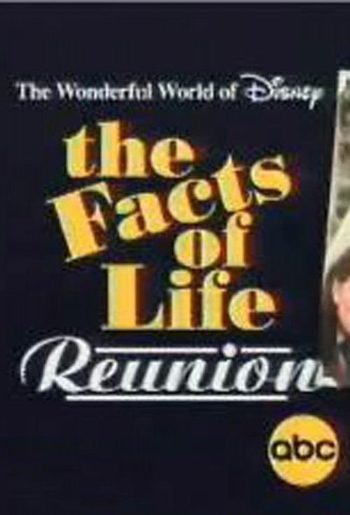 The Facts of Life Reunion (2001) poster