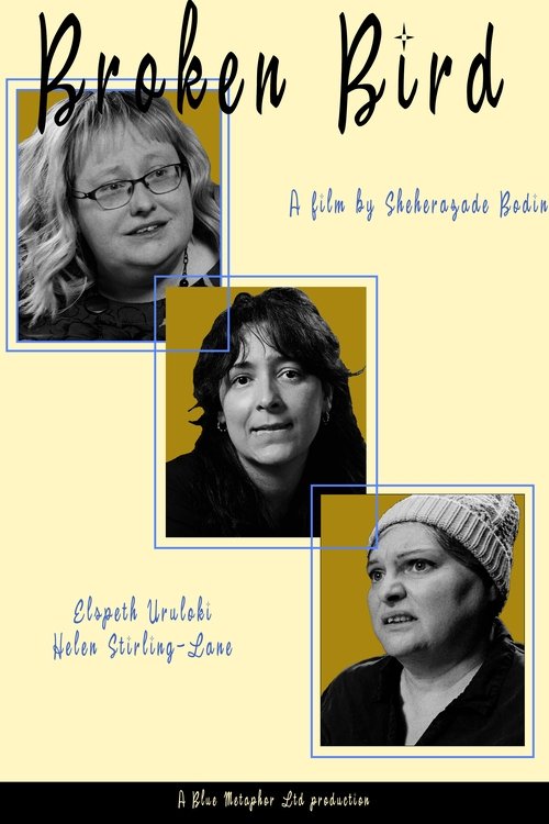 Broken Bird (2025) poster