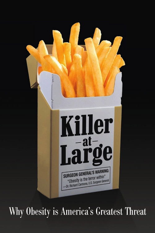 Killer at Large (2008) poster