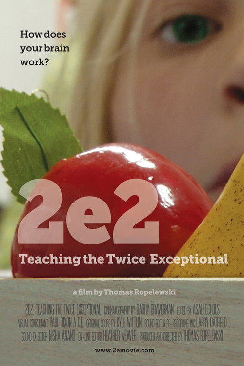 2e2: Teaching the Twice Exceptional (2018) poster