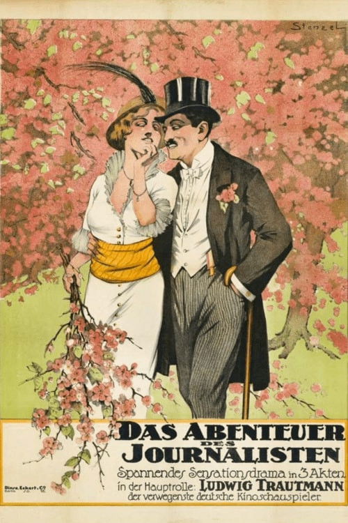 The Adventure of a Journalist (1914) poster