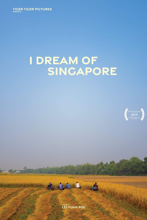 I Dream of Singapore (2019) poster