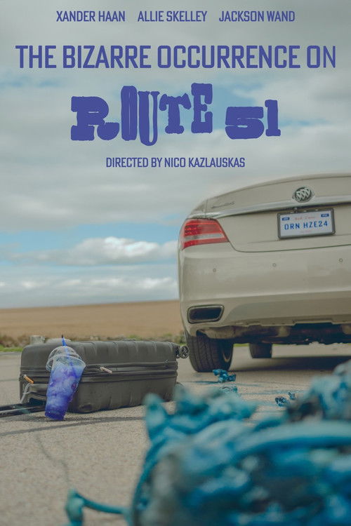 The Bizarre Occurrence on Route 51 (2025) poster