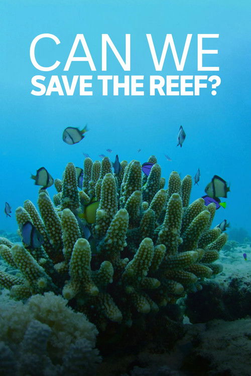Can We Save the Reef? (2018) poster