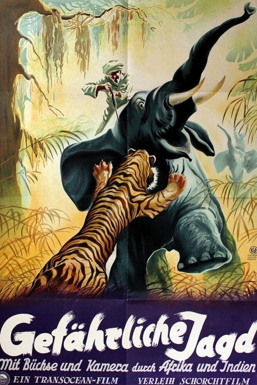 Gefährliche Jagd (1950) poster
