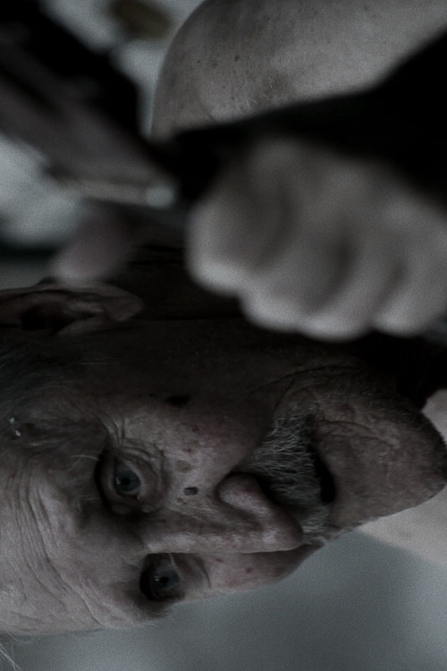 Black District Blues (2017) poster