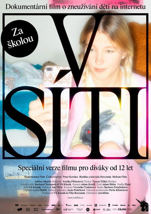 V síti: Za školou (2020) poster