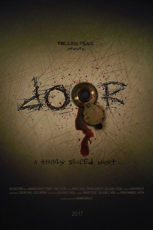 Door (2017) poster