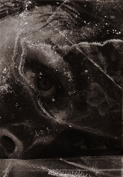 After Psycho Shower (2012) poster