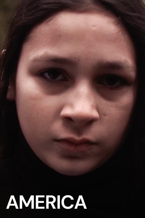 America (2013) poster