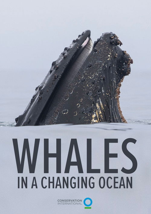 Whales in a Changing Ocean (2021) poster