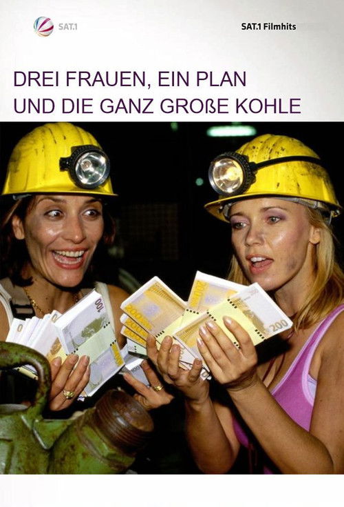 Drei Frauen, ein Plan und die ganz große Kohle (2002) poster