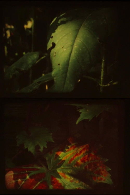 Autumn Fog (2010) poster