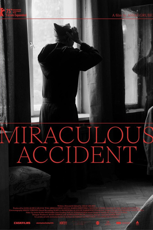 Miraculous Accident (2025) poster