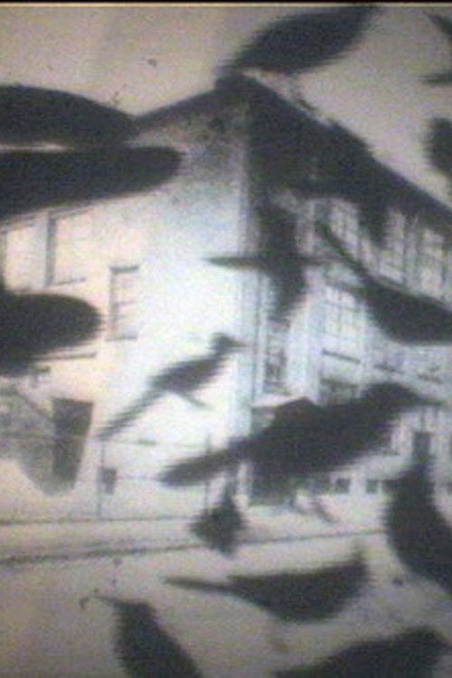 Curse Cures (2009) poster