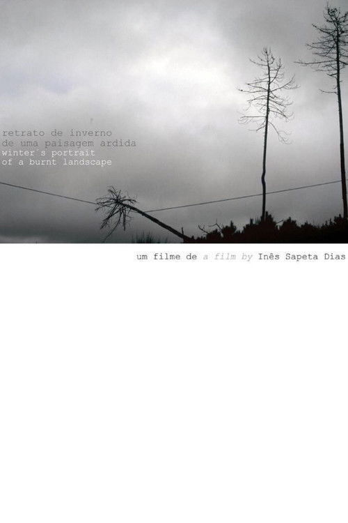 Winter's Portrait of a Burnt Landscape (2008) poster