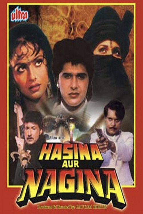 Hasina Aur Nagina (1996) poster